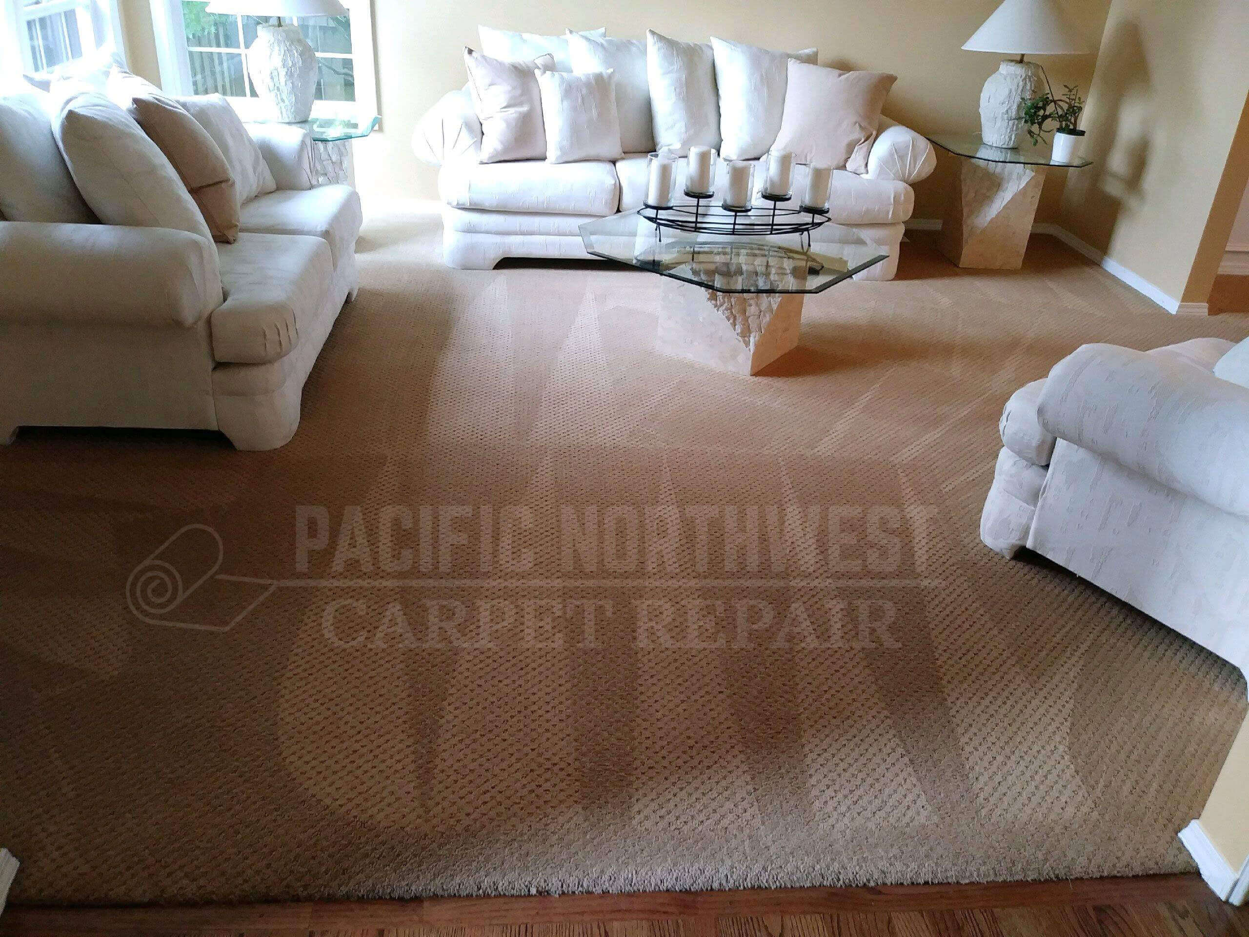 All Carpet Repair